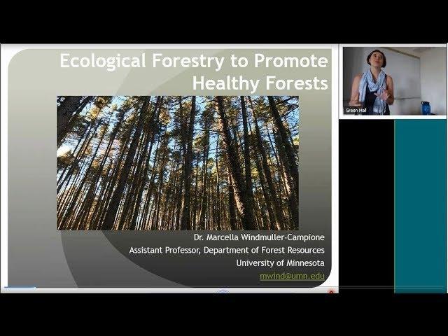 Ecological Forestry to Promote Healthy Forests