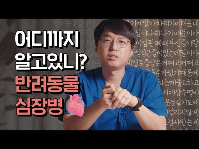 [SNC] 강아지 보호자라면 반드시 알아야 할 심장병 필수정보!