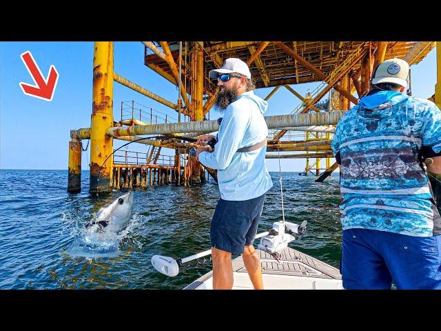 Fishing Giant Oil Rigs in the Gulf of Mexico For Dinner!