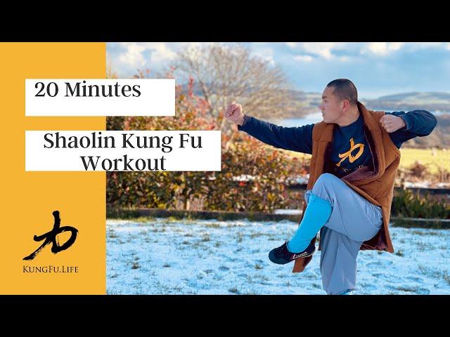 NEW 2021 | Shaolin Kung Fu & Qi Gong -  Workout - 20 Minutes