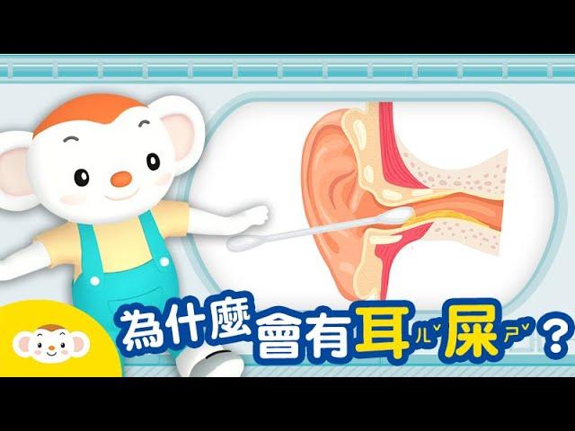 【身體小知識】為什麼會有耳屎｜小行星樂樂TV