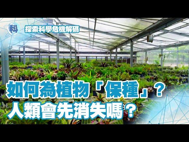 植物和人類 哪個會先消失？【探索科學 危機解碼】EP6-1