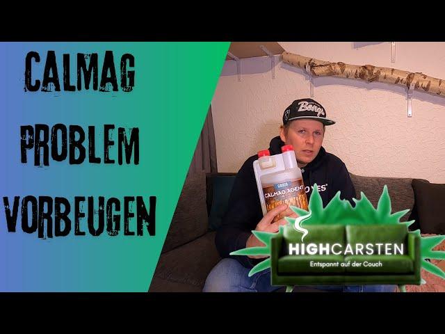 Dem CalMag Problem vorbeugen#cannabiseducation #420