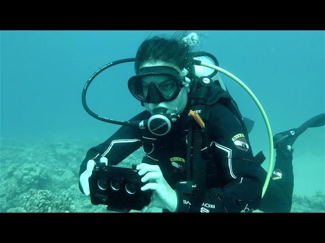 Red Sea Trip 2018: Scubaverse talks to Dr. Charlotte Hopkins from the University of Glasgow