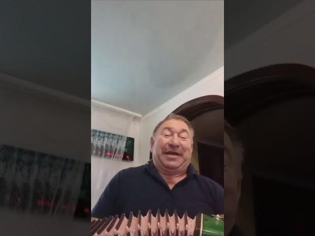 Песня под гармонь - Хочу в деревню, 1 куплет. Тёплая, душевная, сердечная ️ песня