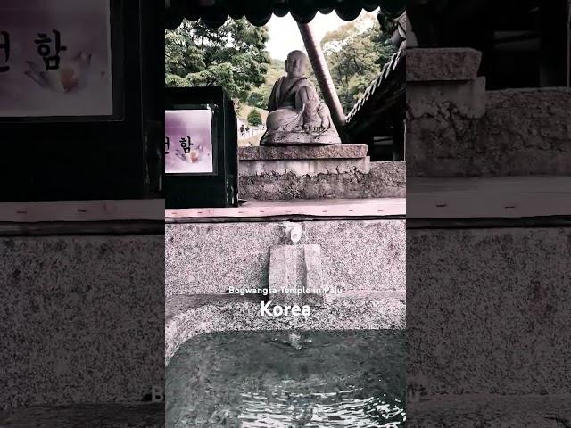 Bogwangsa Temple in Paju #힐링영상 #물소리 #자연의소리