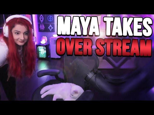 AnnieFuchsia's Cat Takes Over Her Stream! #shorts