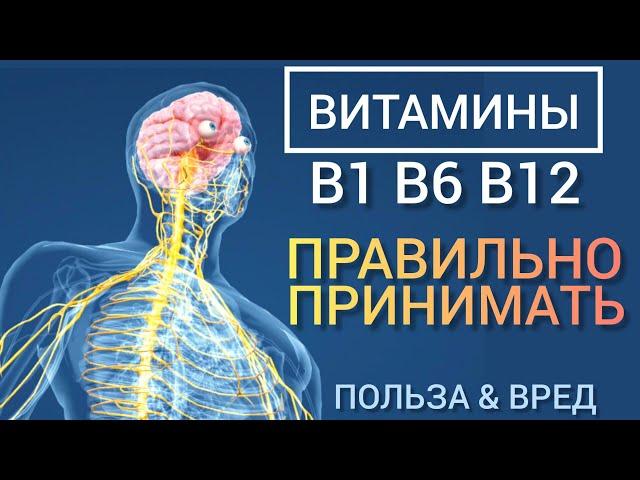 Витамины В1 В6 В12 l Польза и Вред l Ответы на вопросы l Самое главное l Vitamins B - Benefits