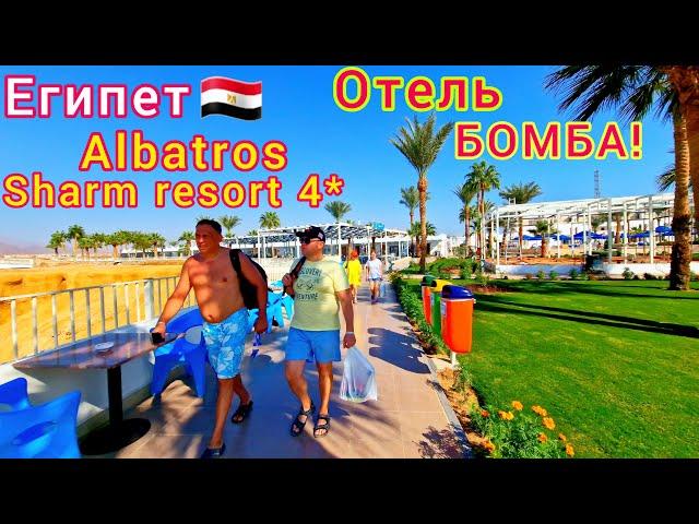 Египет 2024 ЗНАМЕНИТАЯ четвёрка Albatros Sharm Resort 4*. Все ХОТЯТ в этот ОТЕЛЬ️ Шарм-эль-Шейх