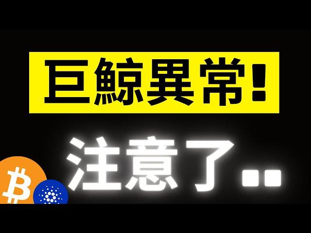 比特幣108500新高後回踩! 鏈上大鯨魚卻出現大額異動..注意了! ETH歷史從未出現過的大鯨魚占比.. ADA只是正常回調..!?