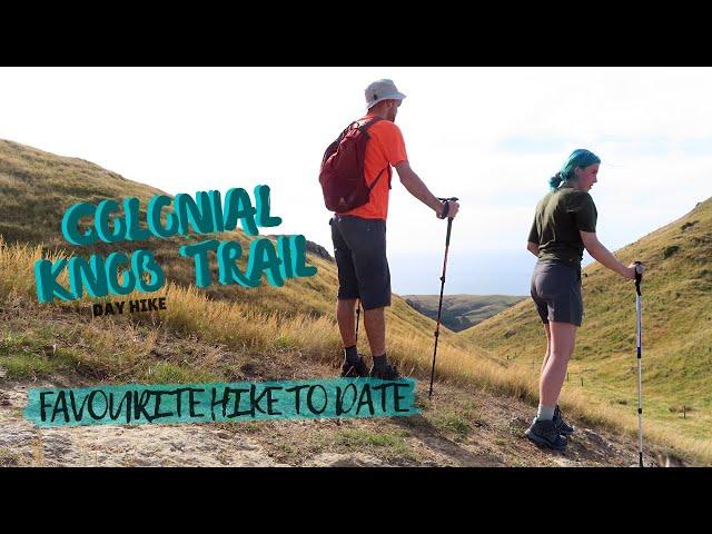 Our favourite NZ DAY HIKE - Porirua's Colonial Knob Trail