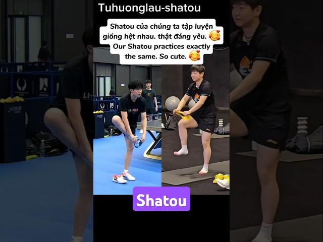 C32-Shatou WTT Champions Chongqing-Trùng Khánh #wttchampions #shatou #5114 #wangchuqin #sunyingsha