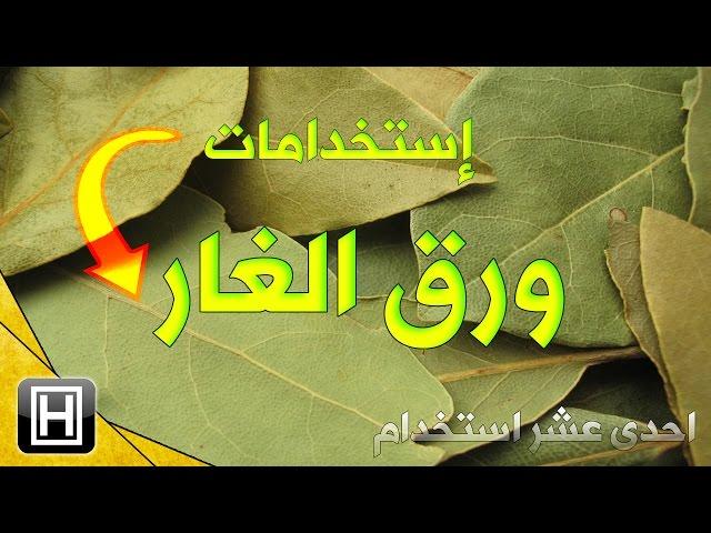 فوائد ورق الغار 11 فائدة طبية وصحية وعلاجية