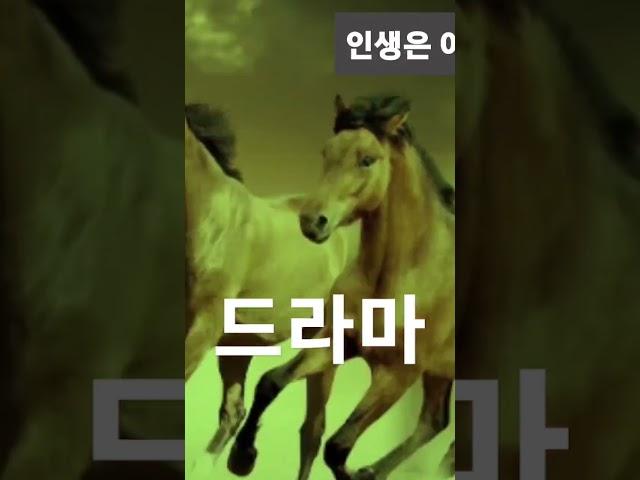 드라마/가수임대호
