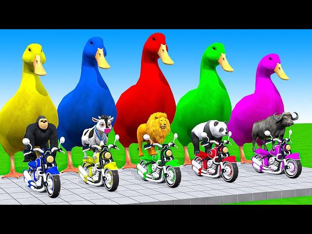 5 Giant Duck, Cow, Elephant, Ferdinand, Gorilla, Lion, Tiger, Transfiguration funny animals 2024