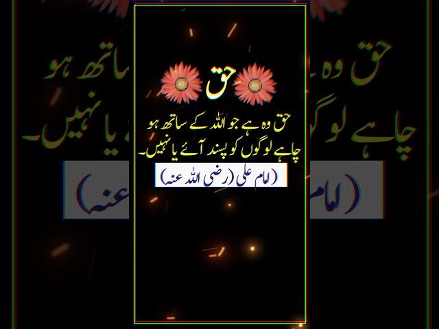 "Truth is Aligns with Allah(RA)#Truth #ImamAli #IslamicWisdom  #Islam #Justice #Spirituality #Quran