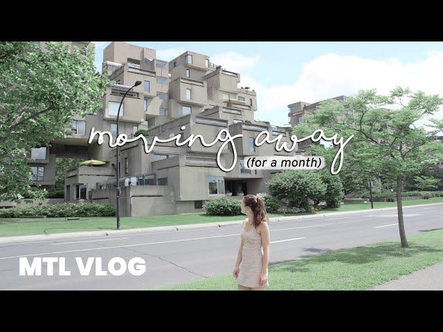 Living Alone in the City | MTL VLOG