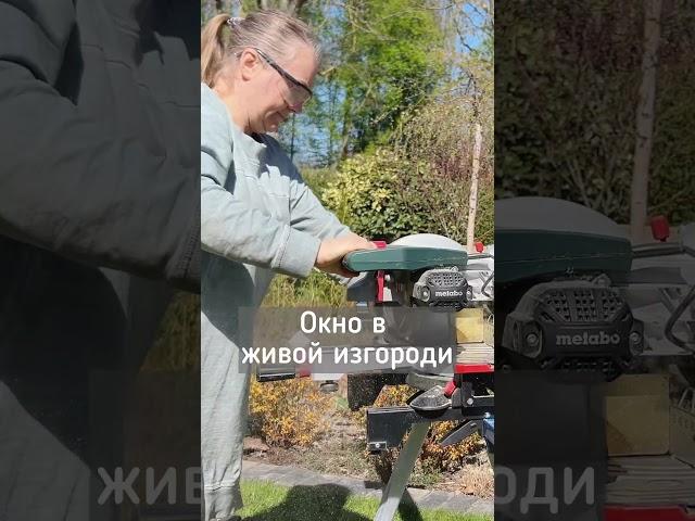 Как я теперь буду общаться со своими немецкими соседями? Строго через окно #shortvideo
