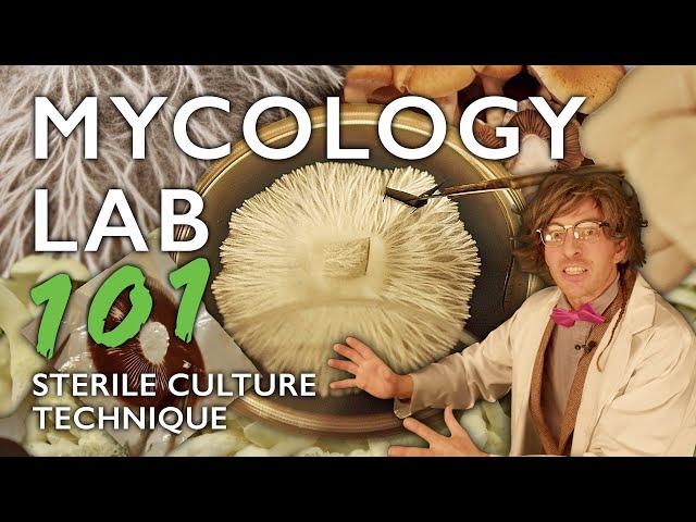 Mycology Lab 101: Agar Work, Cloning, Spores & Sterile Culture Technique for Mushroom Cultivation