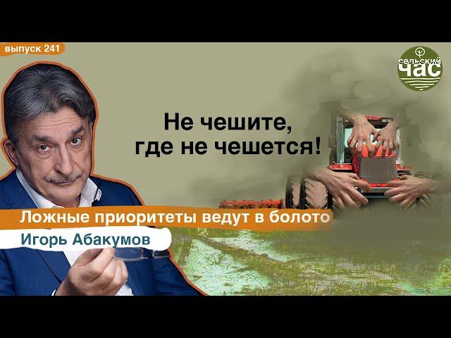 Не чешите, где не чешется! Сельский час # 241 (Игорь Абакумов)