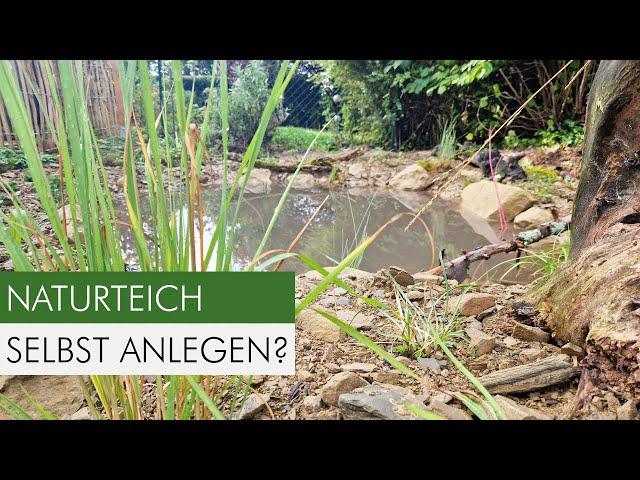 Naturteich anlegen: So erschaffst du ein Paradies für Tiere im Garten!