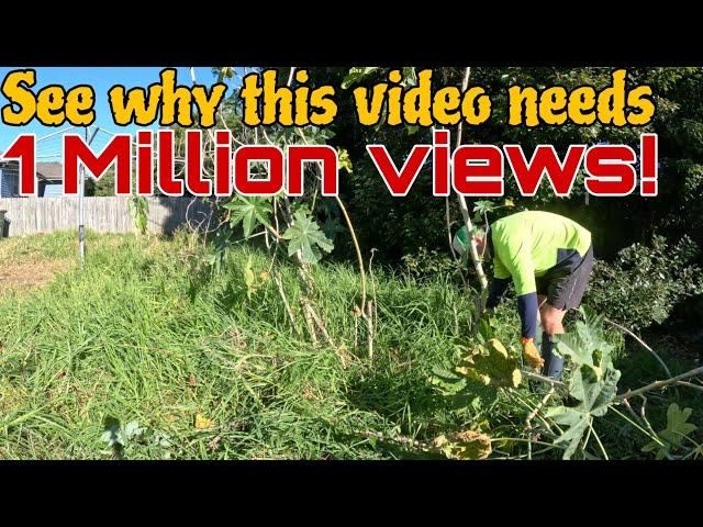 WILD suburban property TAMED! 2 videos in 1!