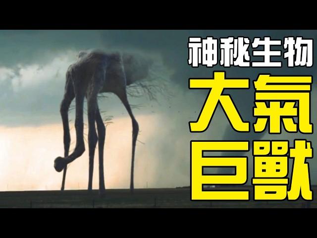 【UMA丨大氣生物】大氣層中到底有沒有生命體？多人目擊的美國克勞福茲維爾怪物到底是什麼？丨神秘動物學UMA羊駝解說丨黑毛羊駝