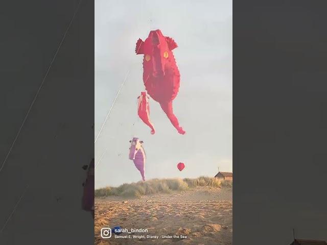 Under The Sea kites flying on the Lincolnshire coast.  #kites #nemo #seahorse #crab #whaleshark