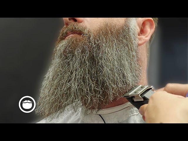 Massive 18 Month Beard Gets Crispy Birthday Trim