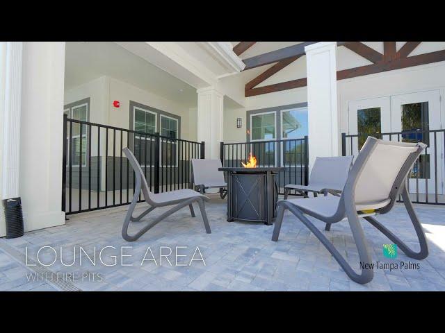 New Tampa Palms | Amenities