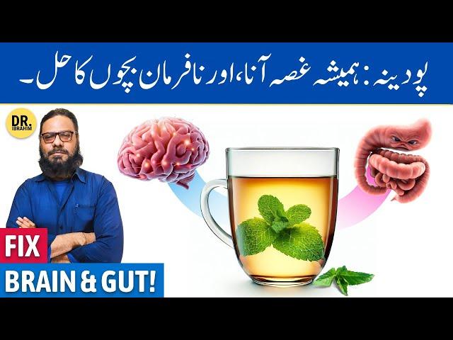 Pudina Ki Chai Ke Gharelu/Jismani Fayde | Mint Tea Benefits | Dr. Ibrahim