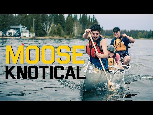 Moose Knotical 2019