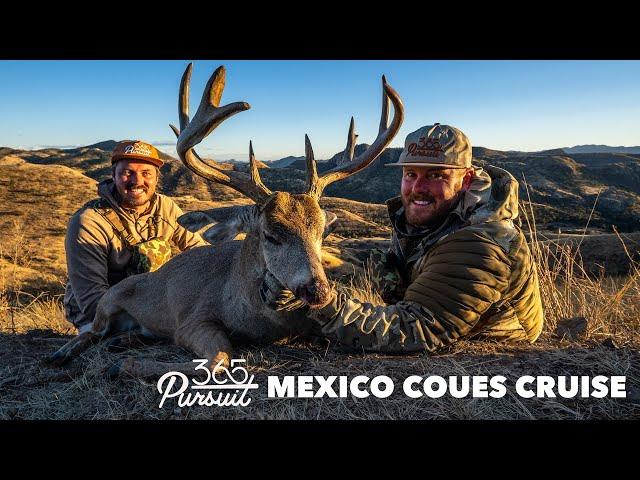 Mexico Coues Cruise X3