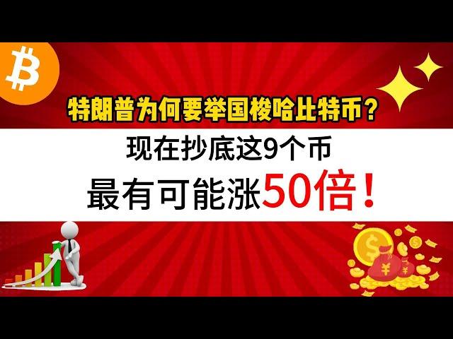 特朗普为何要举国梭哈比特币？现在抄底这9个币，最有可能涨50倍！