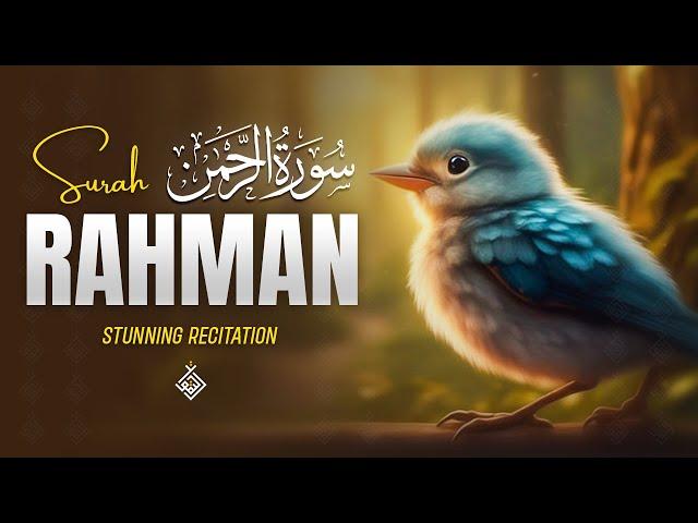 Surah Ar-Rahman سورة الرحمن | Calm Reflections for a Quiet Mind | Al-Taqwa TV