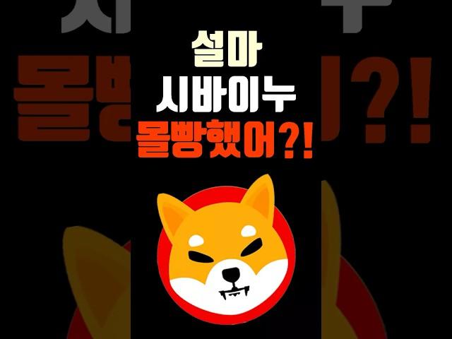 시바이누코인 몰빵했어?! 목표가는 어디까지? 1달러는 좀..