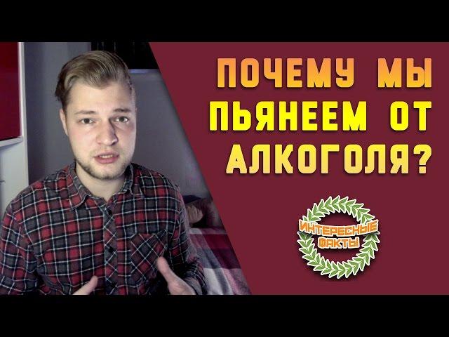 ПОЧЕМУ МЫ ПЬЯНЕЕМ ОТ АЛКОГОЛЯ?