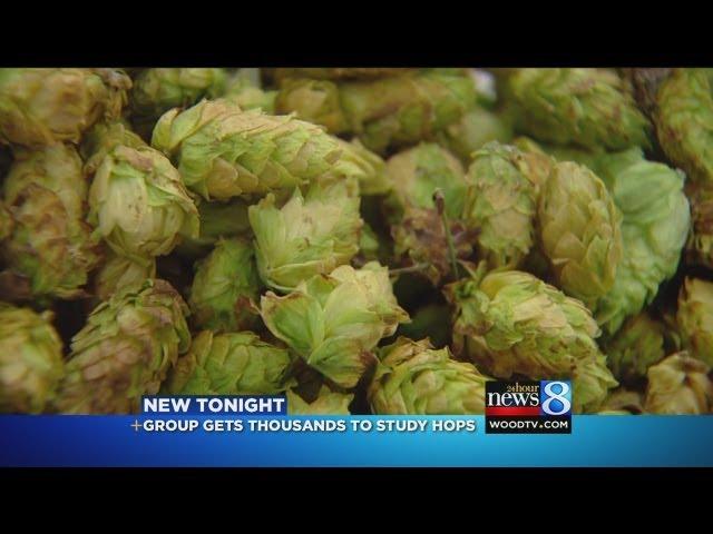 'Why not' grow hops near Beer City USA?