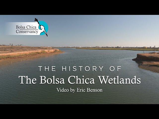 The History of Bolsa Chica