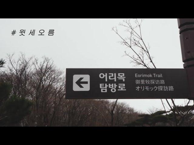 제주도 겨울 한라산 윗세오름 어리목 코스 영상 / 랜선여행영상