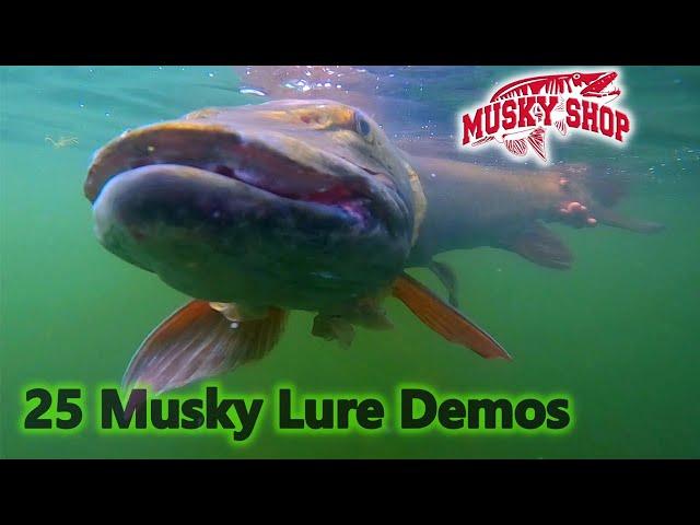 Hot Musky Fishing Lure Demos!