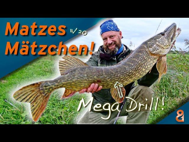 Matze Koch: Hecht! Stellfisch mit der Köfirute! - Matzes Mätzchen 11-2020