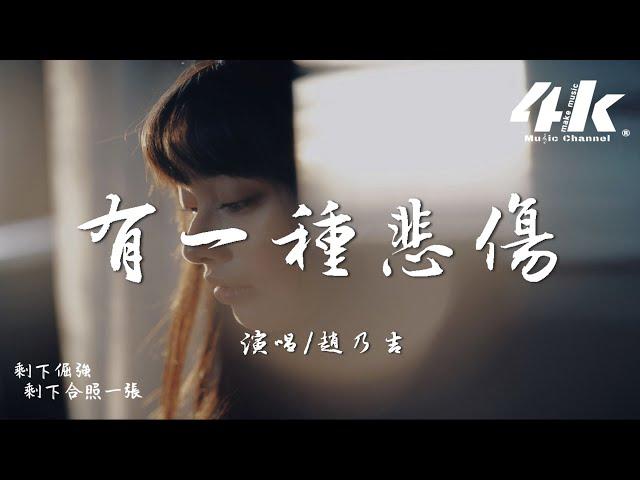 趙乃吉 - 有一種悲傷『有一種悲傷，是你的名字停留在我的過往。』【高音質|動態歌詞Lyrics】·流行音樂