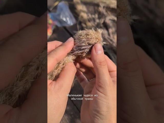 Маленькие чудеса из обычной травы