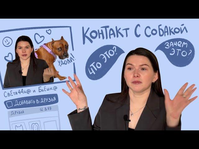 Контакт с собакой. Как улучшить?