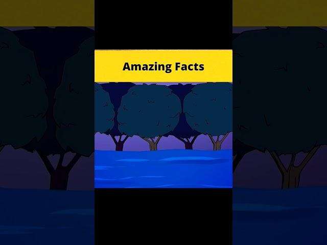 Fact green screen  #facts #greenscreen #youtube #shorts @Bro.fact.g #amazingfacts #video