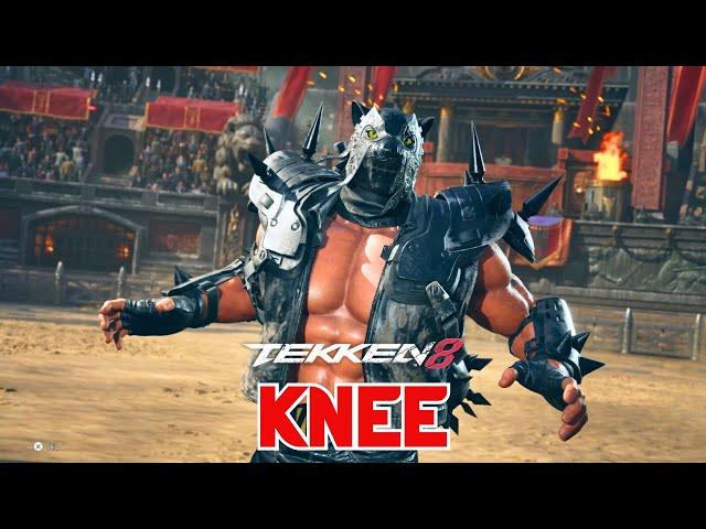 Tekken 8 King Player | KNEE | HIGH LEVEL GAMEPLAY