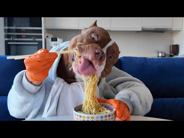 CHOCOLUNCH: Noodles