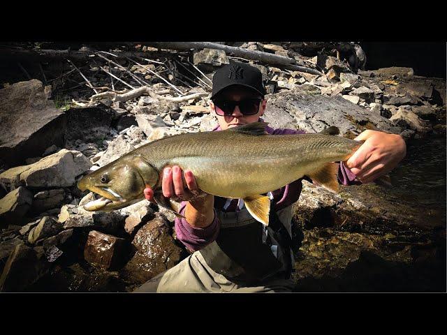 How To Catch HUGE Bull Trout - Streamer Fishing for Aggressive Fish (Tips & Tricks)