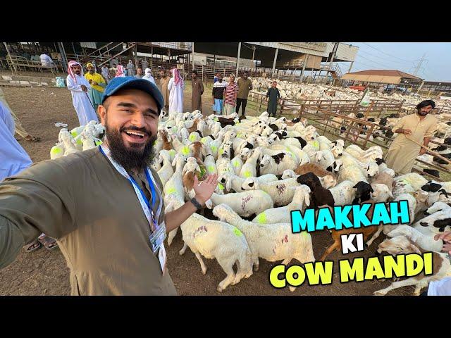 Pehli baar Makkah ki cow mandi dekhi 